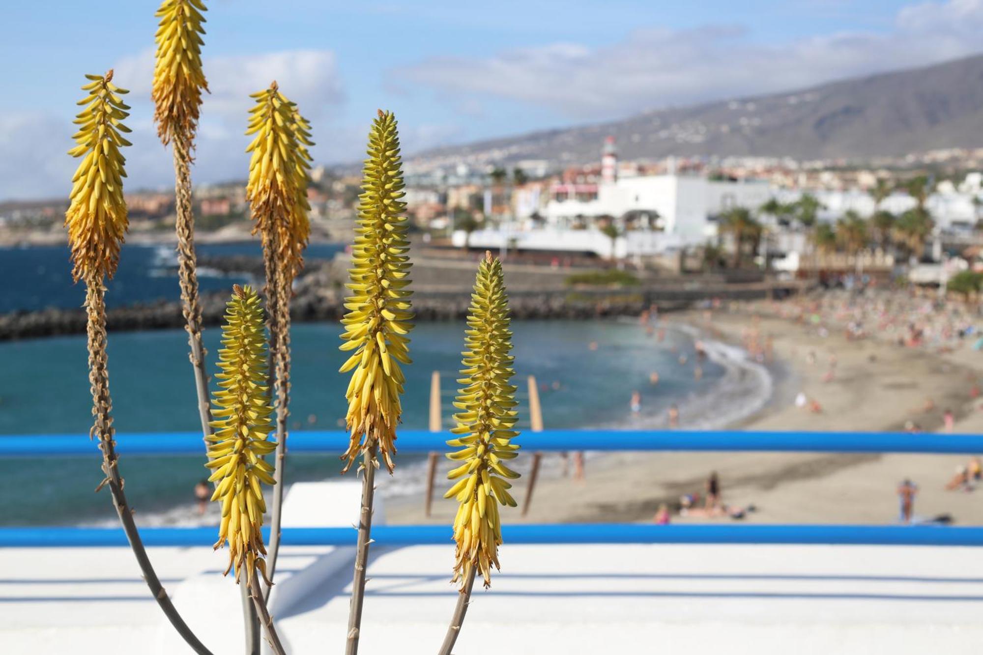 Luxury Romantic Ocean View Costa Adeje  ภายนอก รูปภาพ